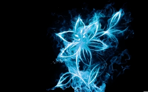 blue-fire-flower-wallpaper